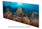 "Coral Majesty" 24X48 Exhibition Print Satin