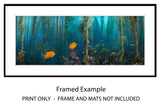 "Kelp Forest Damsels" Artist Proof